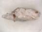 Preview: Hundholmenite-(Y)